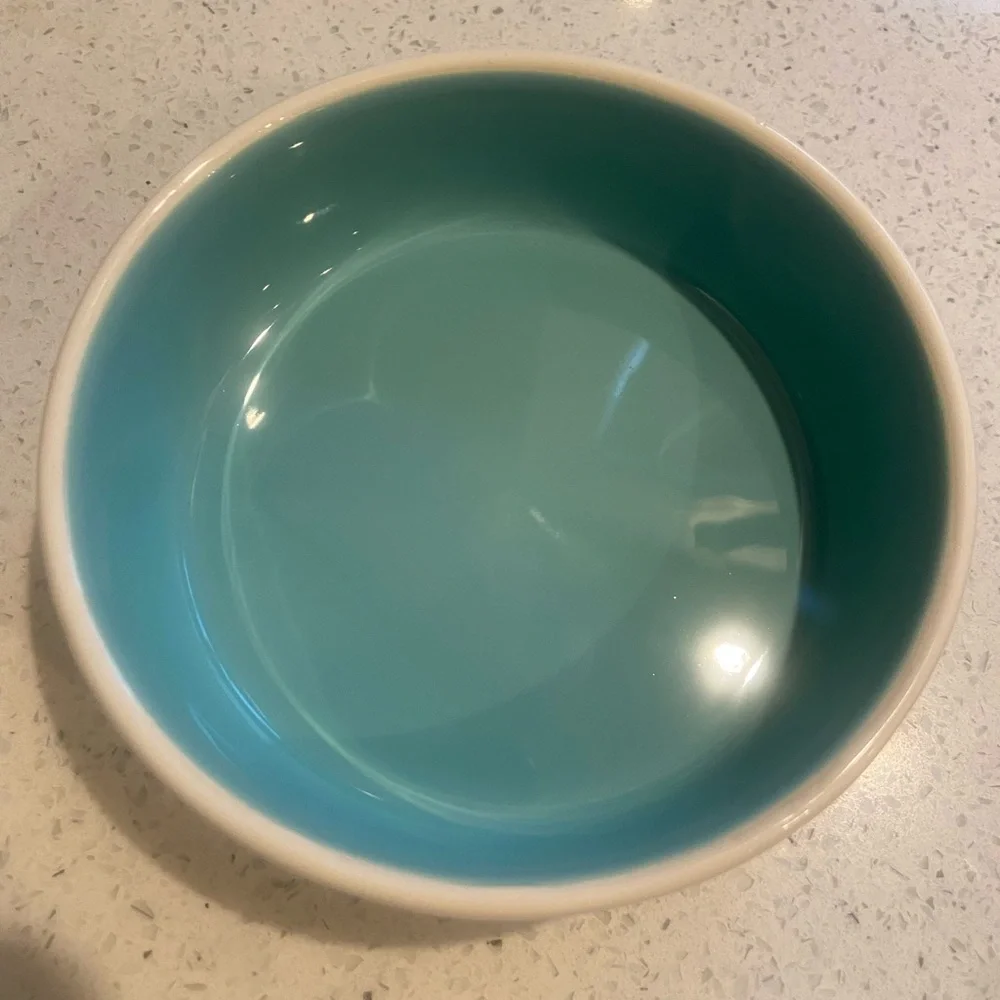 Rae Dunn “DRINK” Turquoise Pet Bowl